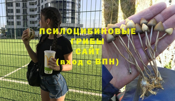 бошки Елизово