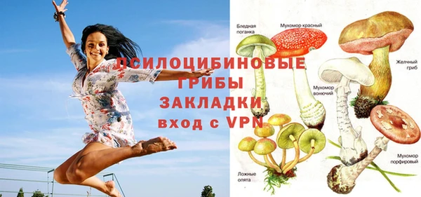 ALPHA-PVP Дмитровск